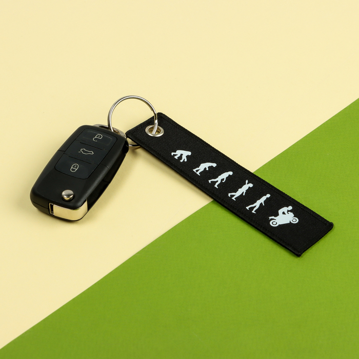 Брелок для автомобильного ключа "Эволюция", ремувка