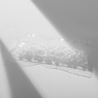 Серьги пусеты в коробке QF «Адель», 36 пар, цвет МИКС в золоте - Фото 4