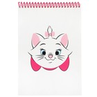 Подарочный набор для девочки, 7 предметов, Коты Аристократы 10268477 - фото 14458300