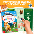 Набор книг для досуга «Я изучаю животных», 4 шт - Фото 5