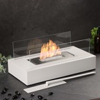 Биокамин настольный 35×18×15 см, с пламегасителем, белый - Фото 1