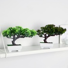 Бонсай искусственный в горшке «Хвойное дерево», 10.5×18 см, МИКС - Фото 4