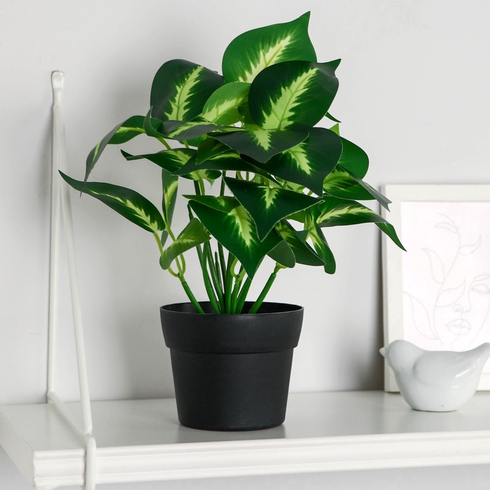 Искусственный цветок в горшке «Диффенбахия галант», 10×23 см - Фото 1
