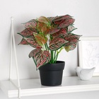 Искусственный цветок в горшке «Каладиум комнатный», 10×23 см - Фото 1
