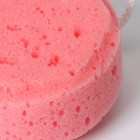 Губка для тела Доляна Cookie, 11,5×5 см, цвет розовый - фото 9312030