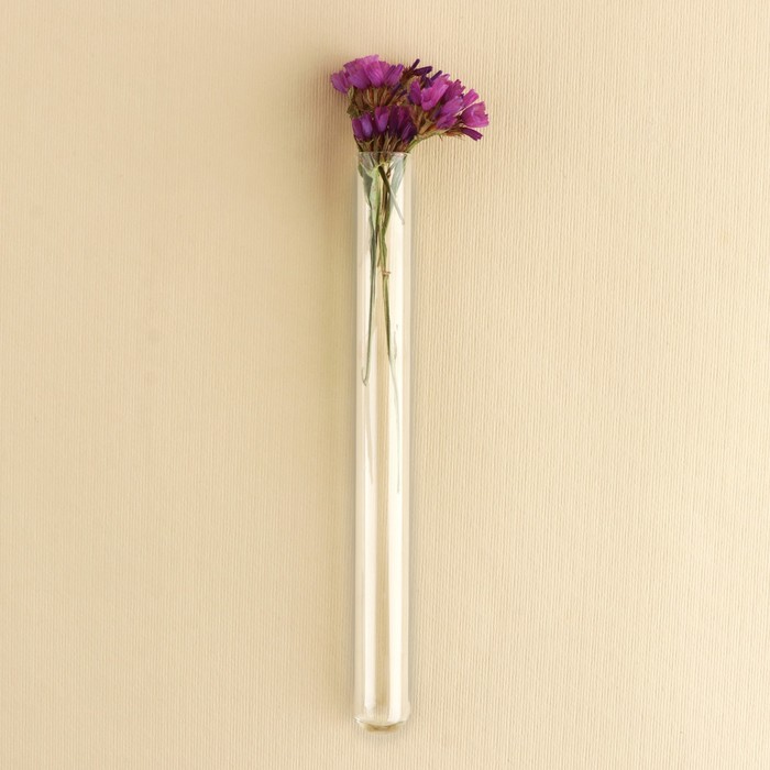 Флористические пробирки-колбы для цветов, 15 х 1,5 см, фасовка 9