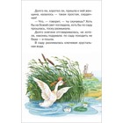 Русские сказки, загадки и пословицы - фото 24553534