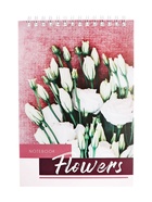 Блокнот А5, 60 листов, на гребне, обложка из мелованного картона, плотность 60 г/м², МИКС - Фото 1