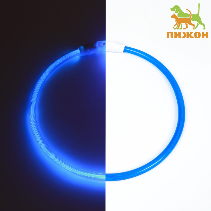 Ошейник - кольцо с подсветкой, зарядка от USB, до 70 см, 3 режима свечения, голубой - Фото 1