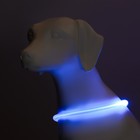 Ошейник - кольцо с подсветкой, зарядка от USB, до 70 см, 3 режима свечения, голубой - фото 9473495