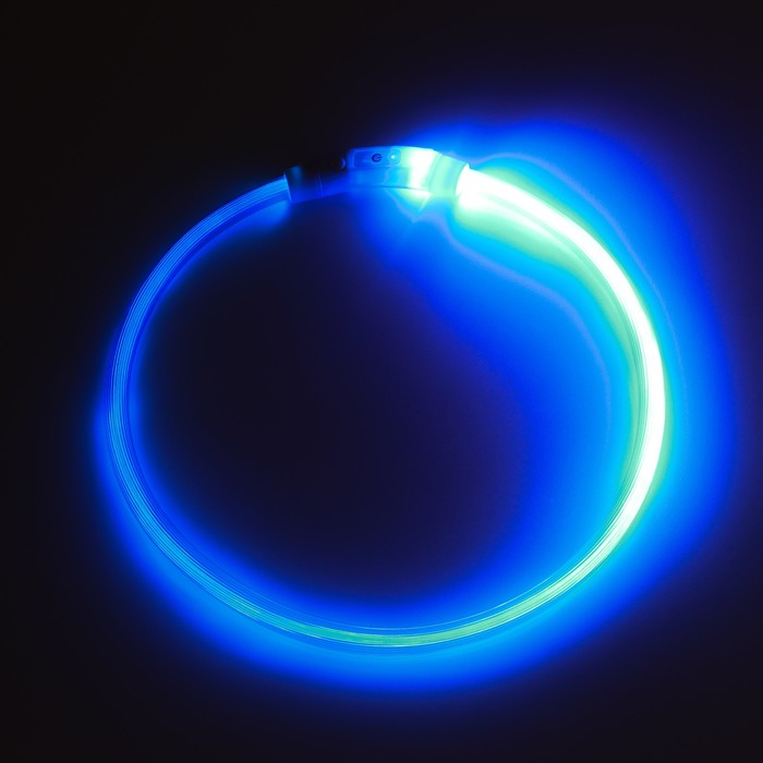 Ошейник - кольцо с подсветкой, зарядка от USB, до 70 см, 3 режима свечения, голубой