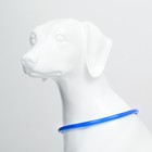 Ошейник - кольцо с подсветкой, зарядка от USB, до 70 см, 3 режима свечения, голубой - Фото 3