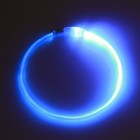 Ошейник - кольцо с подсветкой, зарядка от USB, до 70 см, 3 режима свечения, голубой - фото 9473497