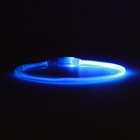 Ошейник - кольцо с подсветкой, зарядка от USB, до 70 см, 3 режима свечения, голубой - фото 9473498