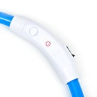 Ошейник - кольцо с подсветкой, зарядка от USB, до 70 см, 3 режима свечения, голубой - фото 9473500