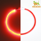 Ошейник - кольцо с подсветкой, зарядка от USB, до 70 см, 3 режима свечения, красный - фото 321203525