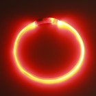 Ошейник - кольцо с подсветкой, зарядка от USB, до 70 см, 3 режима свечения, красный - фото 9473517