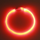 Ошейник - кольцо с подсветкой, зарядка от USB, до 70 см, 3 режима свечения, красный - фото 9473509