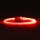 Ошейник - кольцо с подсветкой, зарядка от USB, до 70 см, 3 режима свечения, красный - фото 9473510