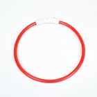 Ошейник - кольцо с подсветкой, зарядка от USB, до 70 см, 3 режима свечения, красный - фото 9473511