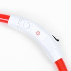 Ошейник - кольцо с подсветкой, зарядка от USB, до 70 см, 3 режима свечения, красный - Фото 7