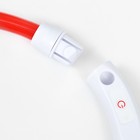 Ошейник - кольцо с подсветкой, зарядка от USB, до 70 см, 3 режима свечения, красный - фото 9473513