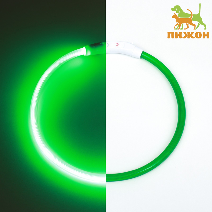 Ошейник - кольцо с подсветкой, зарядка от USB, до 70 см, 3 режима свечения, зелёный - Фото 1