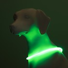 Ошейник - кольцо с подсветкой, зарядка от USB, до 70 см, 3 режима свечения, зелёный - фото 9473519