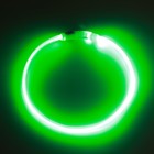 Ошейник - кольцо с подсветкой, зарядка от USB, до 70 см, 3 режима свечения, зелёный - фото 9473529