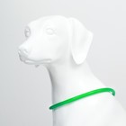 Ошейник - кольцо с подсветкой, зарядка от USB, до 70 см, 3 режима свечения, зелёный - Фото 3