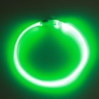 Ошейник - кольцо с подсветкой, зарядка от USB, до 70 см, 3 режима свечения, зелёный - Фото 4