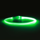Ошейник - кольцо с подсветкой, зарядка от USB, до 70 см, 3 режима свечения, зелёный - Фото 5