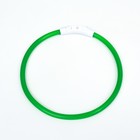 Ошейник - кольцо с подсветкой, зарядка от USB, до 70 см, 3 режима свечения, зелёный - фото 9473523