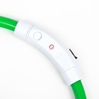 Ошейник - кольцо с подсветкой, зарядка от USB, до 70 см, 3 режима свечения, зелёный - фото 9473524
