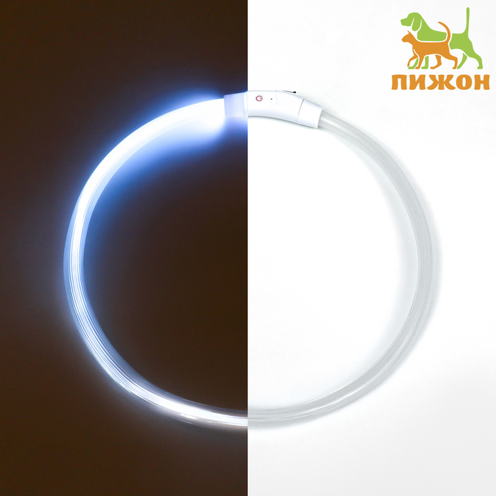 Ошейник - кольцо с подсветкой, зарядка от USB, до 70 см, 3 режима свечения, мультицвет