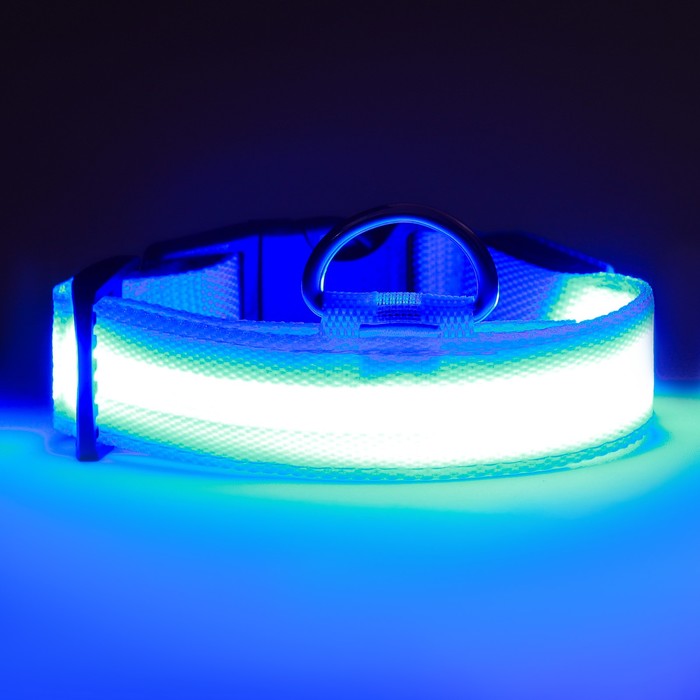 Ошейник с подсветкой, зарядка от USB, размер S, ОШ 34-41 см, 3 режима, голубой
