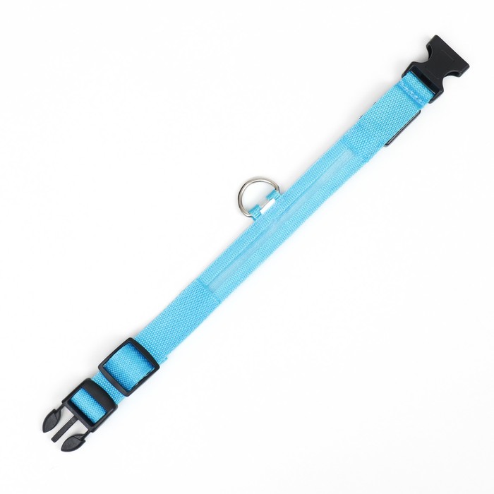 Ошейник с подсветкой, зарядка от USB, размер S, ОШ 34-41 см, 3 режима, голубой