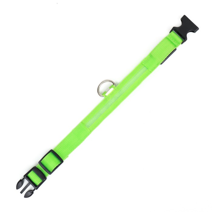 Ошейник с подсветкой, зарядка от USB, размер S, ОШ 34-41 см, 3 режима, зелёный