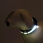 Ошейник с подсветкой, зарядка от USB, размер S, ОШ 34-41 см, 3 режима, черный - Фото 2