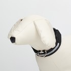 Ошейник с подсветкой, зарядка от USB, размер S, ОШ 34-41 см, 3 режима, черный - Фото 3