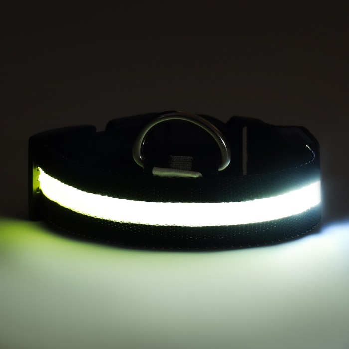 Ошейник с подсветкой, зарядка от USB, размер M, ОШ 37-46 см, 3 режима, черный