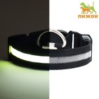 Ошейник с подсветкой, зарядка от USB, размер L, ОШ 41-52 см, 3 режима, черный - Фото 1