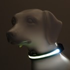 Ошейник с подсветкой, зарядка от USB, размер L, ОШ 41-52 см, 3 режима, черный - Фото 2