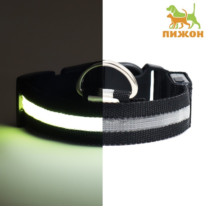 Ошейник с подсветкой, зарядка от USB, размер XL, ОШ 42-56 см, 3 режима, черный - Фото 1