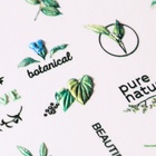 Слайдер - дизайн для ногтей «PURE NATURE», объёмные, цвет чёрный/зелёный - Фото 3