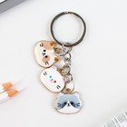 Брелок для ключей, 2.5×9 см - Фото 3