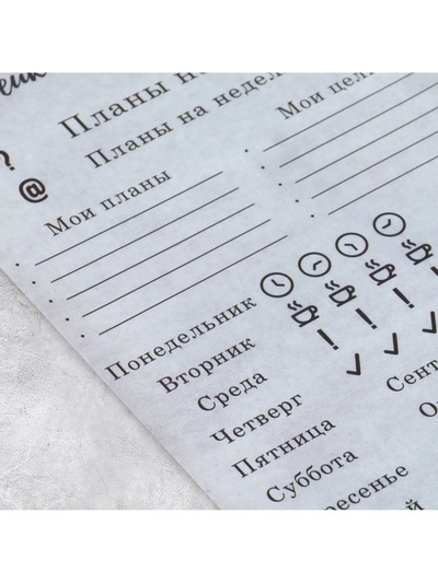 Наклейки для ежедневника «Планы», калька, 13×18 см