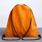 Мешок для обуви «Котики» (с прозрачным окном) 41×30 см - Фото 6