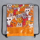 Мешок для обуви «Котики» (с прозрачным окном) 41×30 см - Фото 4