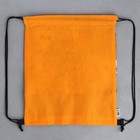 Мешок для обуви «Котики» (с прозрачным окном) 41×30 см - Фото 5